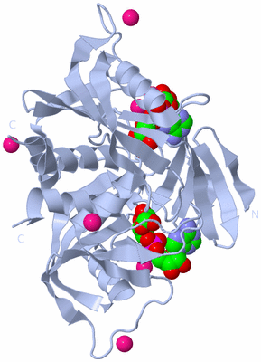 Image Biological Unit 1