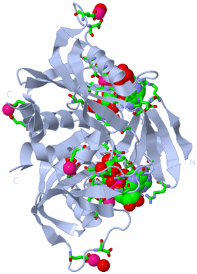 Image Biol. Unit 1 - sites