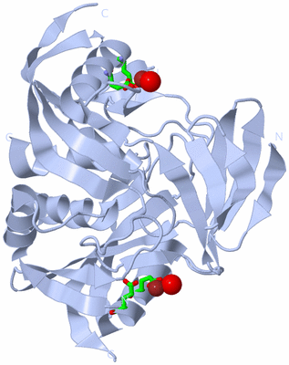 Image Biol. Unit 1 - sites