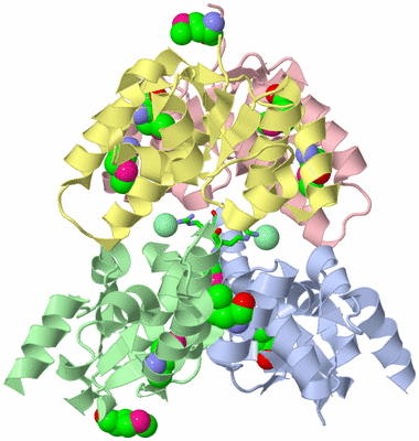Image Biol. Unit 1 - sites