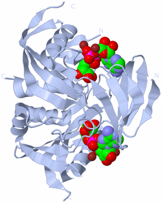 Image Biological Unit 1