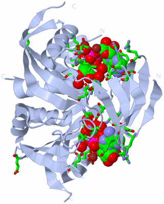 Image Biol. Unit 1 - sites