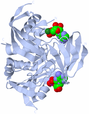 Image Biological Unit 1