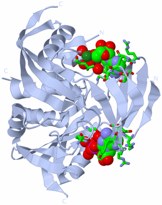 Image Biol. Unit 1 - sites