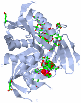 Image Biol. Unit 1 - sites