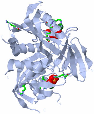 Image Biol. Unit 1 - sites