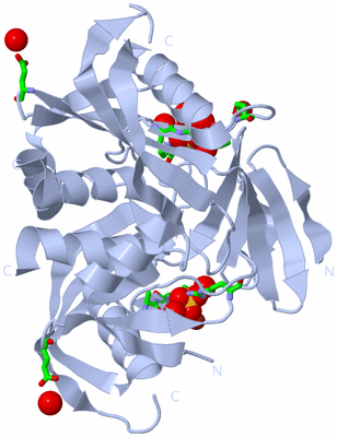 Image Biol. Unit 1 - sites