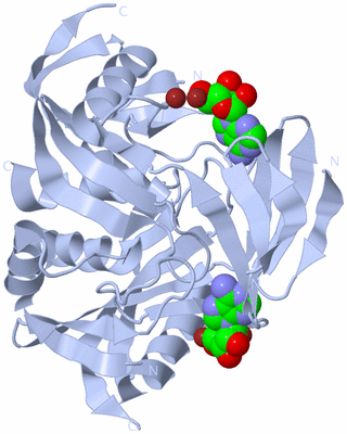 Image Biological Unit 1