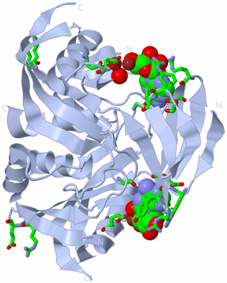 Image Biol. Unit 1 - sites