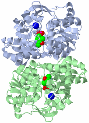 Image Biological Unit 3