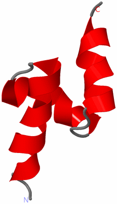 Image NMR Structure - model 1