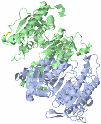 Image Asym./Biol. Unit