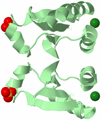Image Biological Unit 2