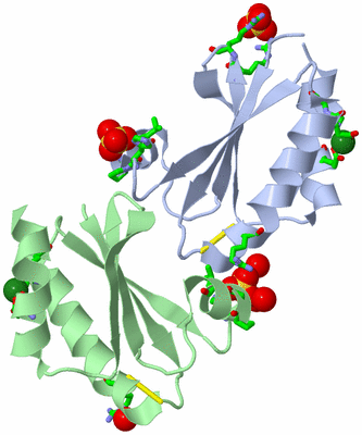 Image Asym. Unit - sites