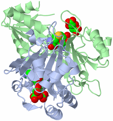 Image Asym./Biol. Unit