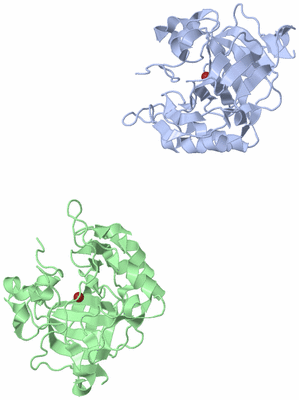 Image Asymmetric Unit