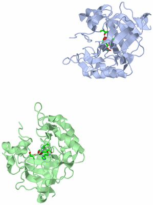 Image Asym. Unit - sites