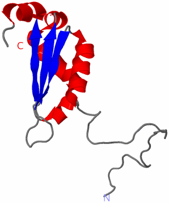 Image NMR Structure - model 1