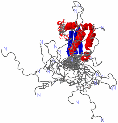 Image NMR Structure - all models