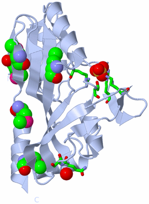 Image Biol. Unit 1 - sites