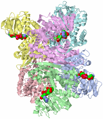 Image Asym./Biol. Unit