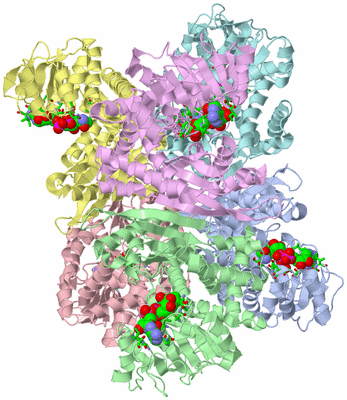 Image Asym./Biol. Unit - sites