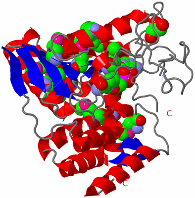 Image Asymmetric Unit