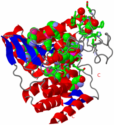 Image Asym. Unit - sites