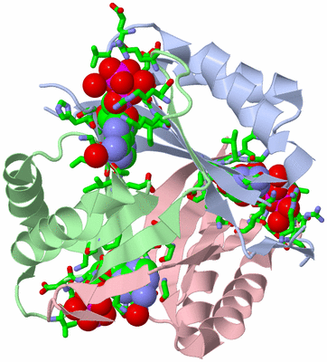 Image Asym./Biol. Unit - sites
