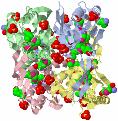 Image Asym./Biol. Unit