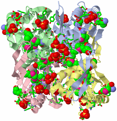 Image Asym./Biol. Unit - sites