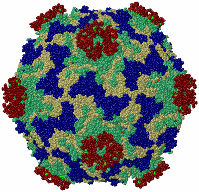 Image Biol. Unit 1 - sites