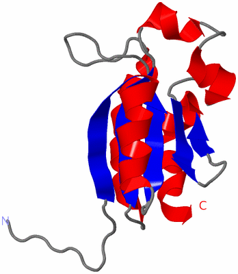 Image NMR Structure - model 1