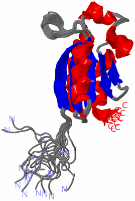 Image NMR Structure - all models