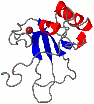 Image NMR Structure - model 1