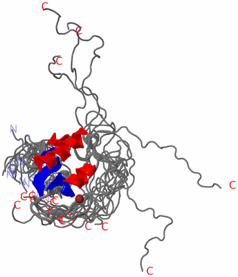 Image NMR Structure - all models