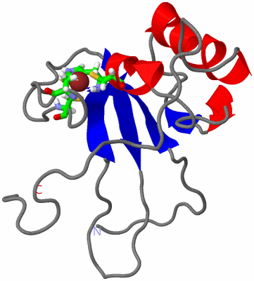 Image NMR Structure - model 1, sites