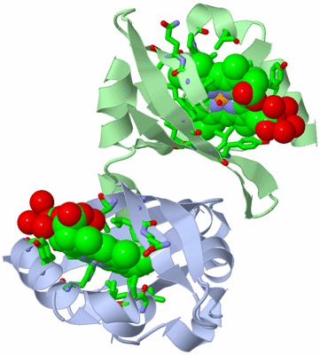 Image Asym./Biol. Unit - sites