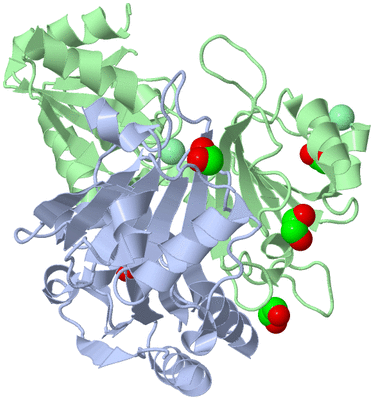 Image Asym./Biol. Unit