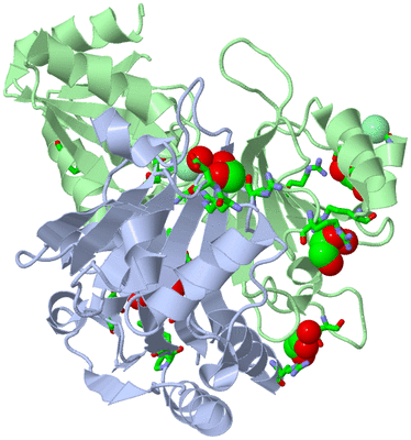 Image Asym./Biol. Unit - sites