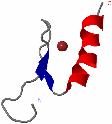 Image NMR Structure - model 1