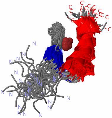 Image NMR Structure - all models