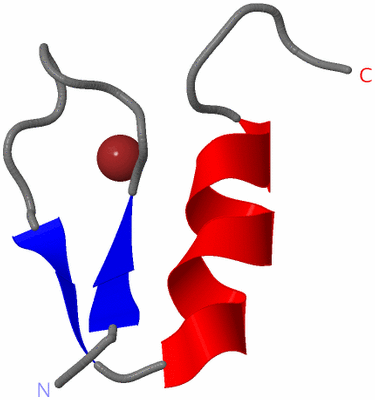 Image NMR Structure - model 1