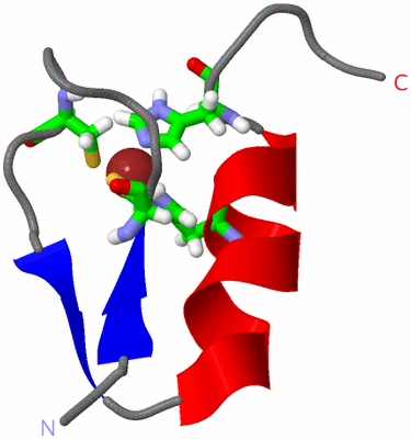 Image NMR Structure - model 1, sites