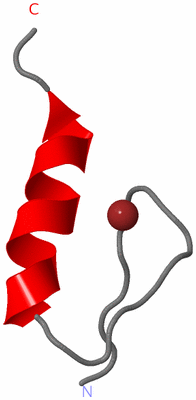 Image NMR Structure - model 1