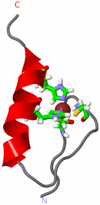 Image NMR Structure - model 1, sites