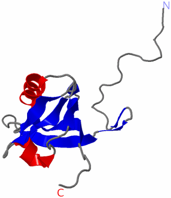 Image NMR Structure - model 1