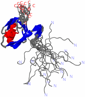 Image NMR Structure - all models