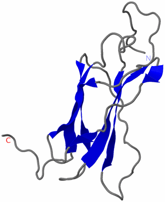 Image NMR Structure - model 1