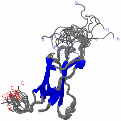 Image NMR Structure - all models